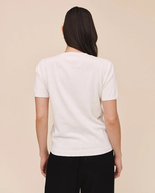 Bella Dahl Short Sleeve Crew Neck Knit Top