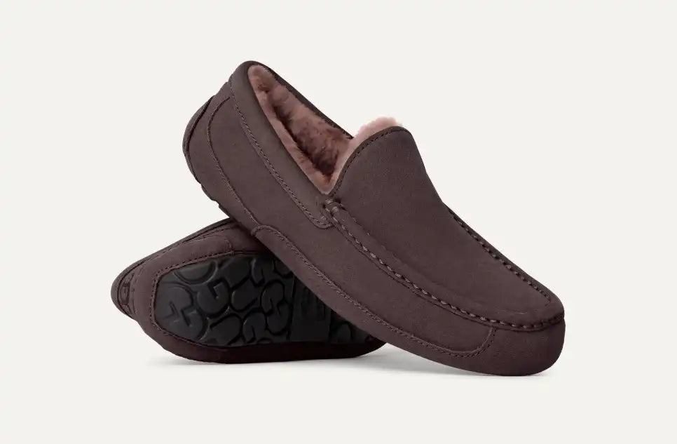 UGG® Men's Ascot Slipper