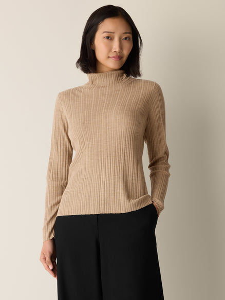 Eileen Fisher Superfine Merino Turtleneck Top in Regenerative Wool