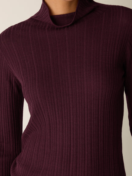 Eileen Fisher Superfine Merino Turtleneck Top in Regenerative Wool