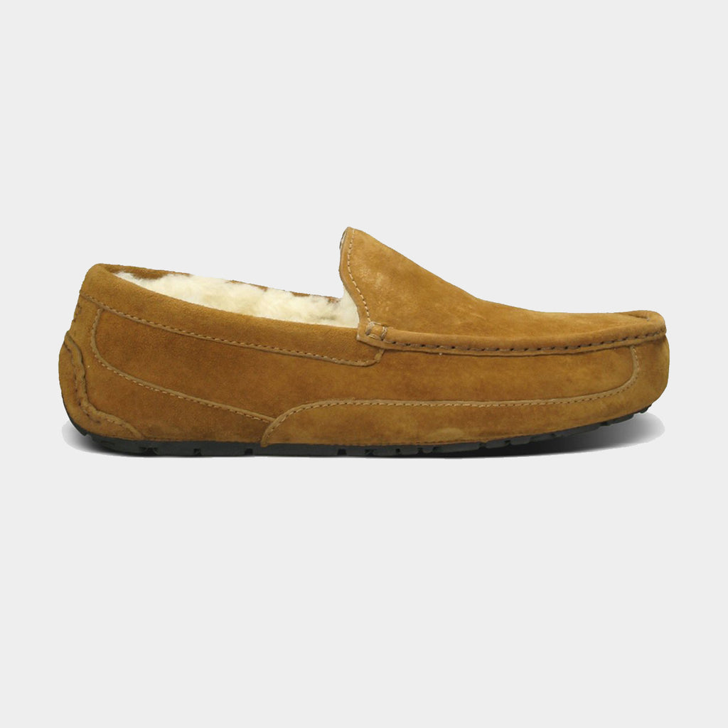 UGG® Men's Ascot Slipper