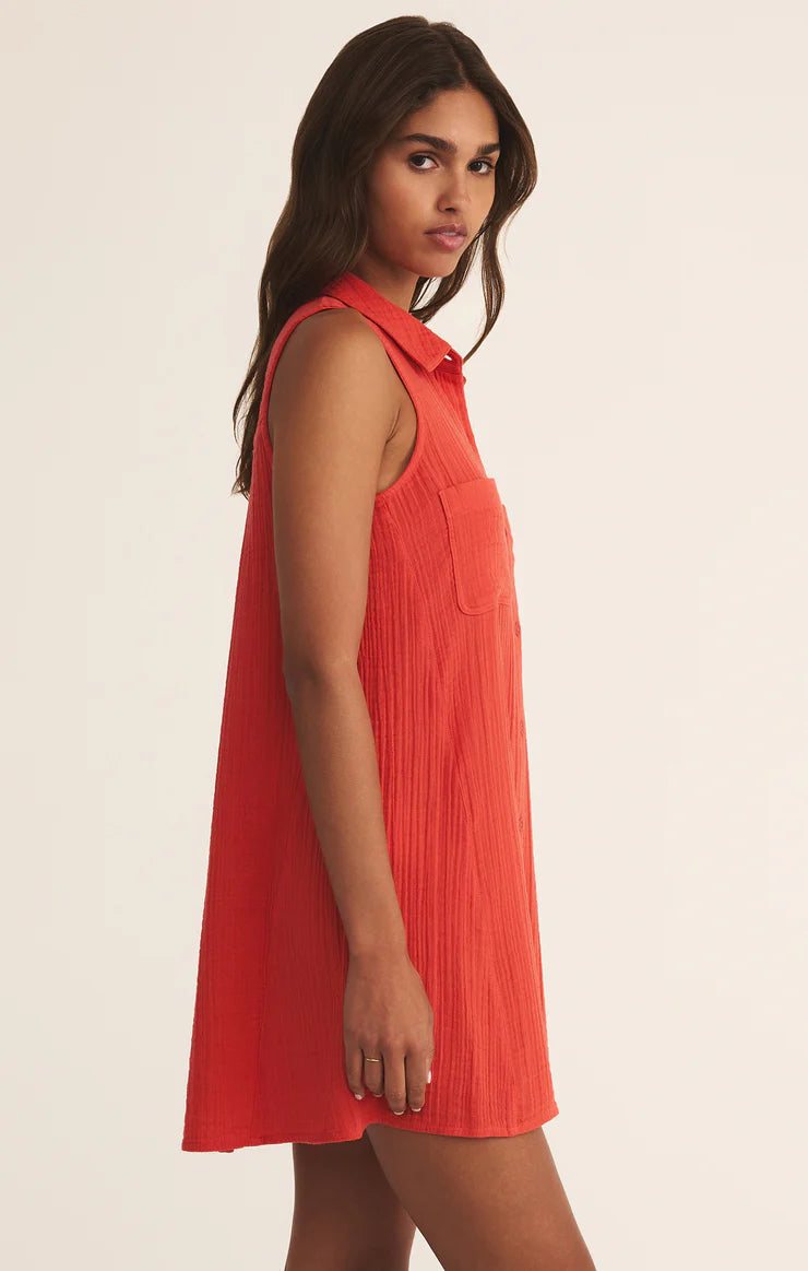 Z Supply New Light Gauze Mini Dress