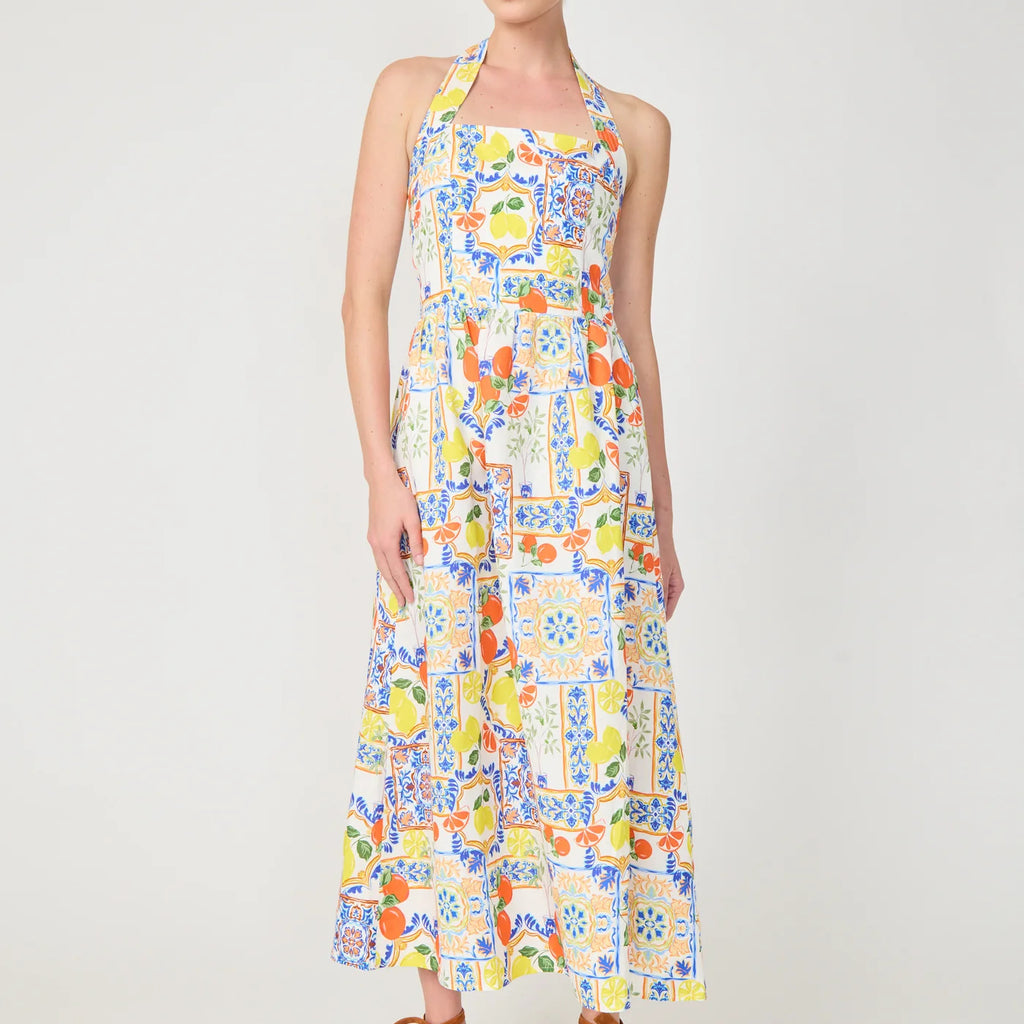 Gilner Farrar Colby Dress Naples Print
