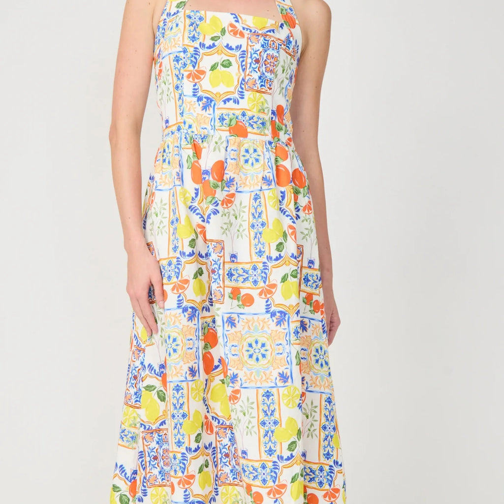 Gilner Farrar Colby Dress Naples Print