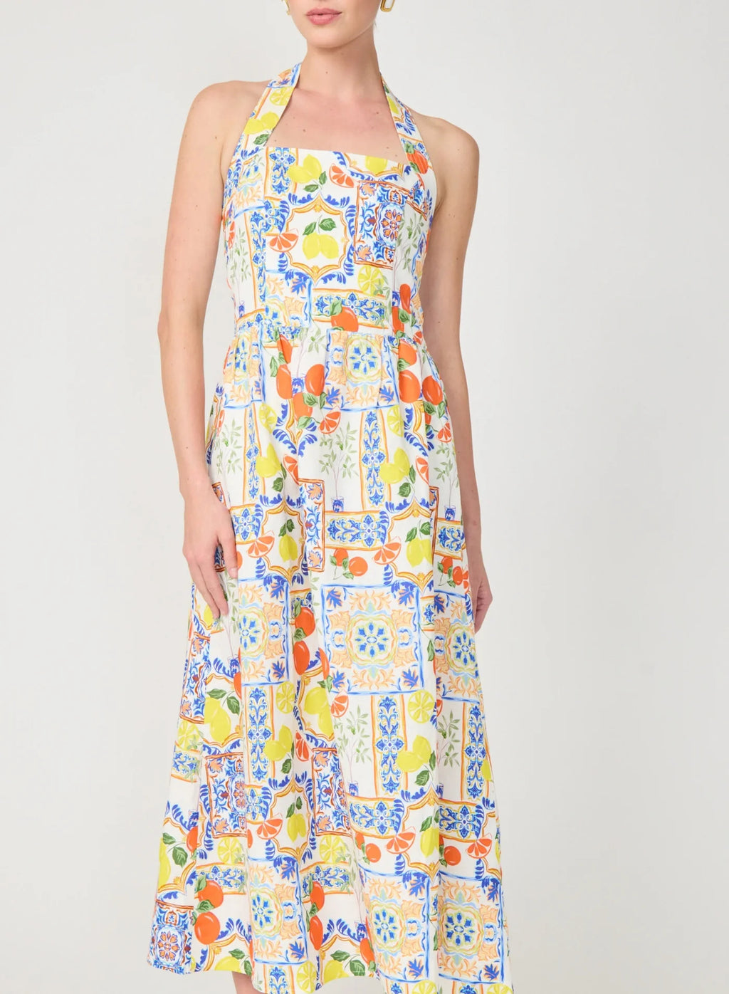 Gilner Farrar Colby Dress Naples Print