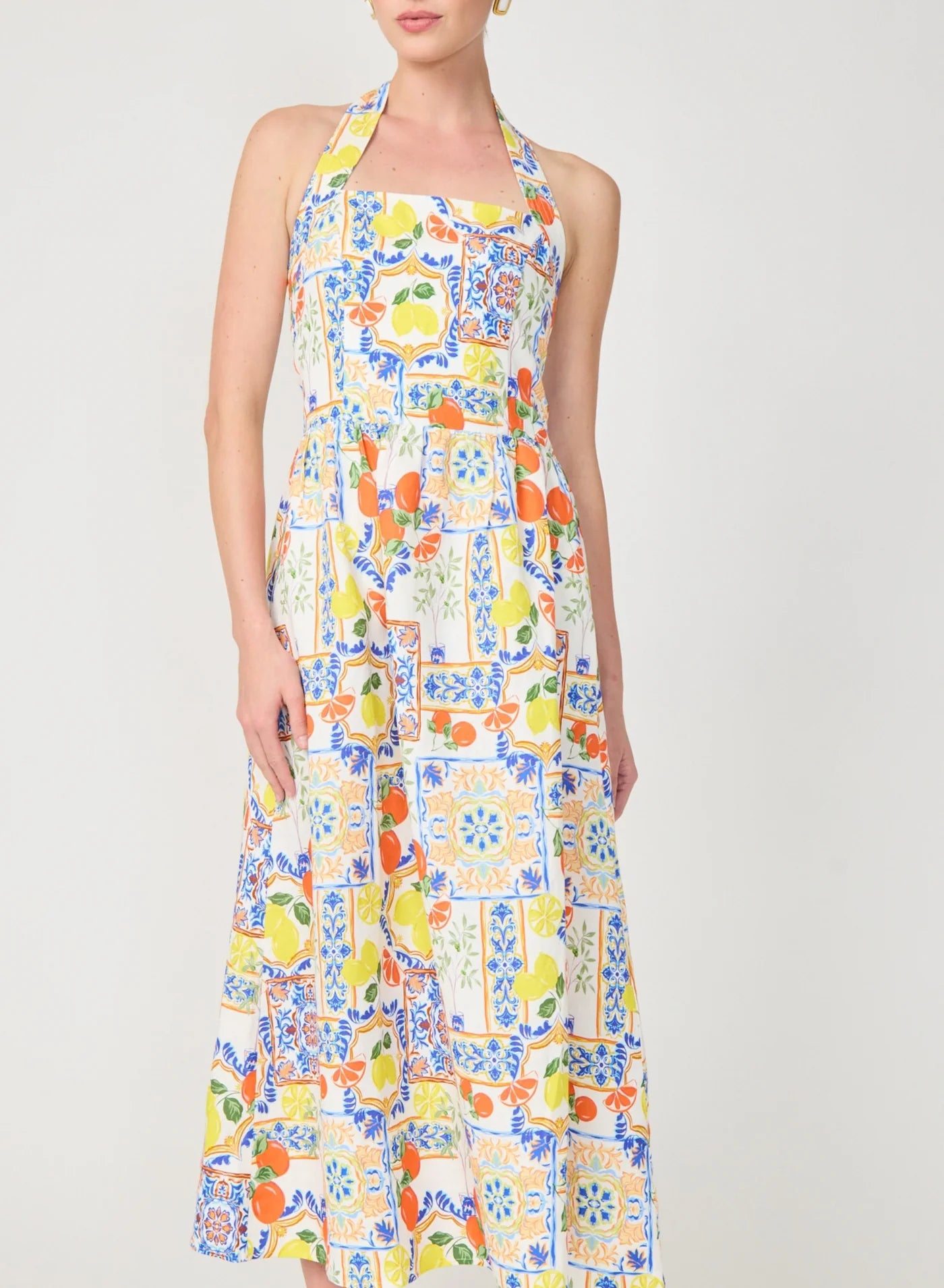 Gilner Farrar Colby Dress Naples Print