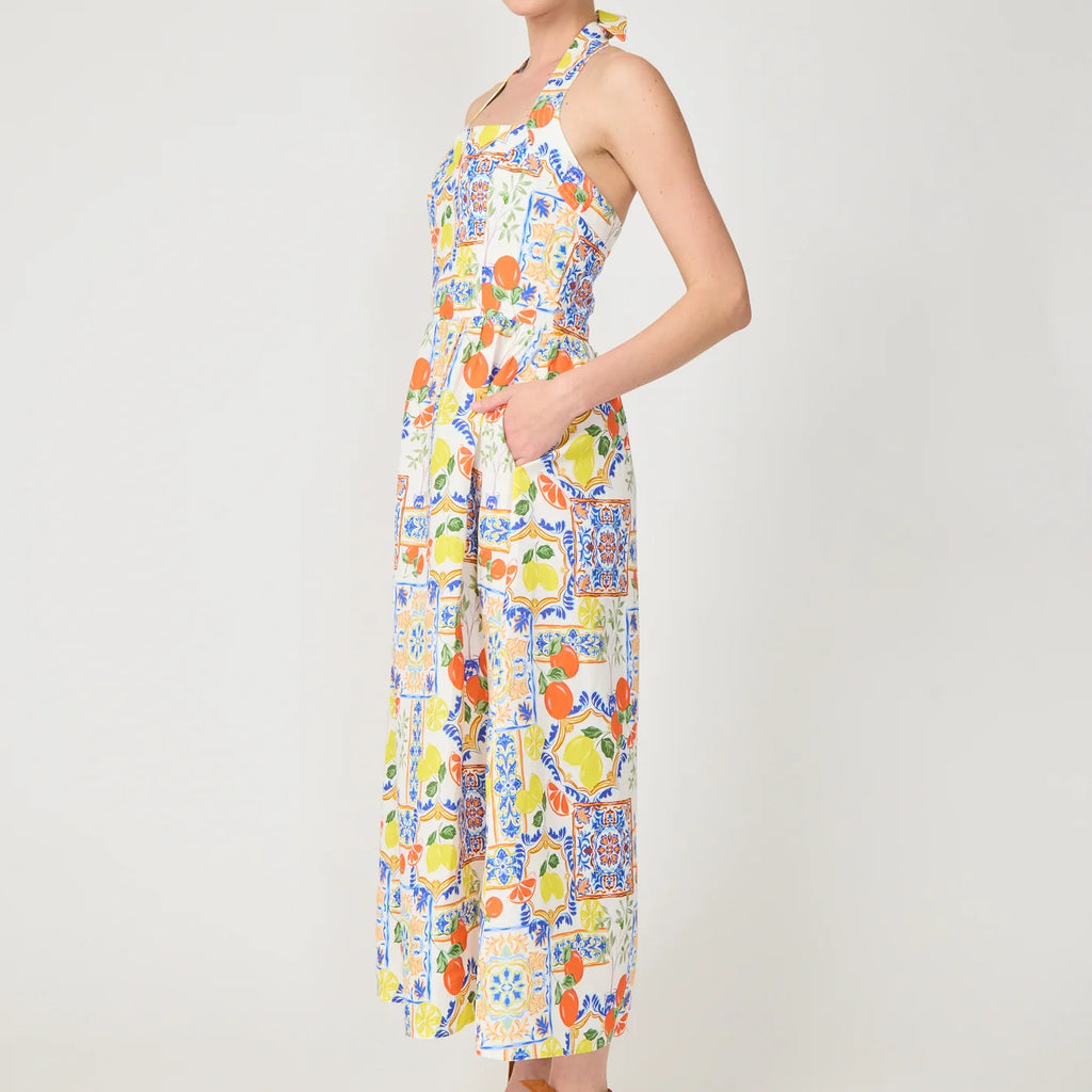 Gilner Farrar Colby Dress Naples Print