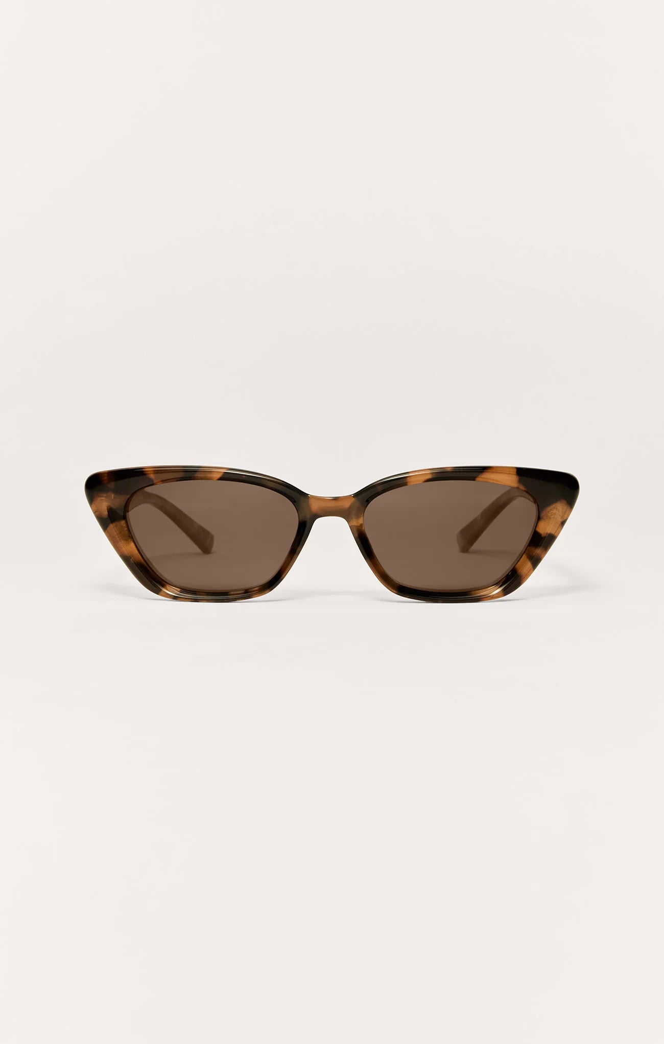 Brown Tortoise / Brown