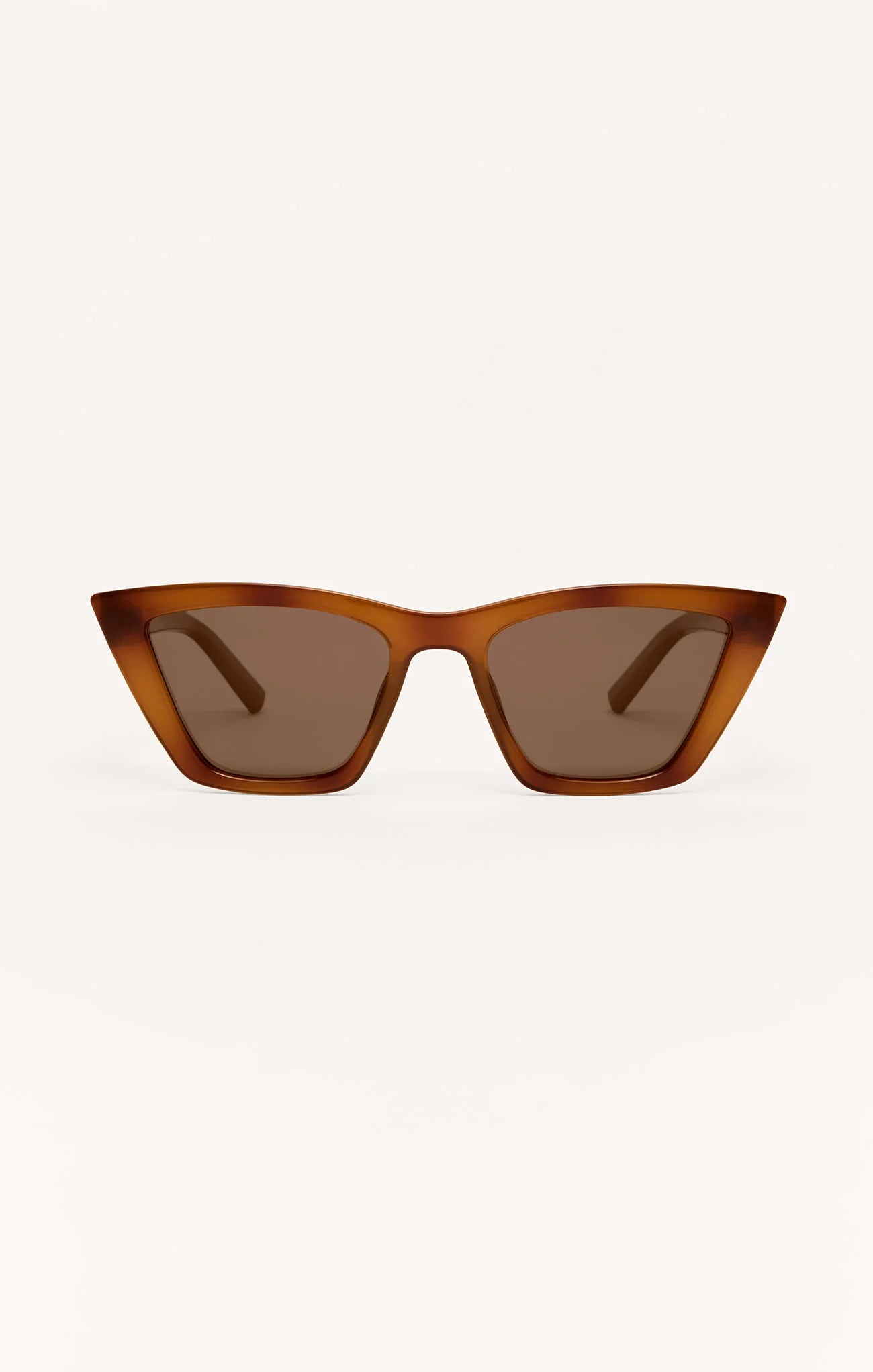 Brown Tortoise / Brown