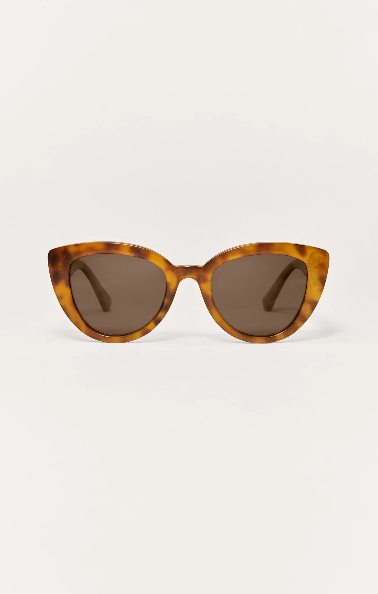 Brown Tortoise / Brown