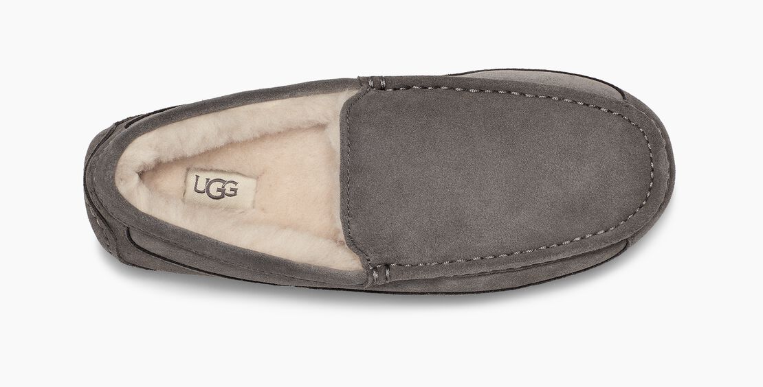 UGG® Men's Ascot Slipper