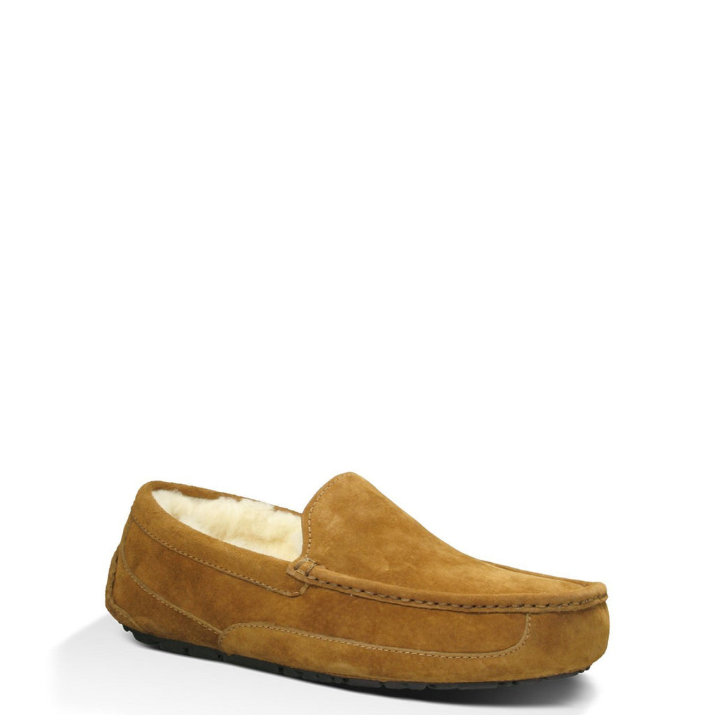 UGG® Men's Ascot Slipper