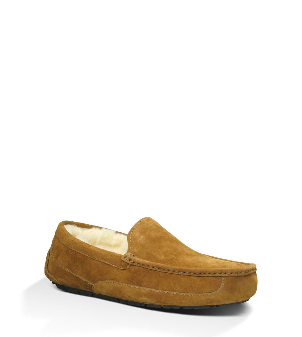 UGG® Men's Ascot Slipper