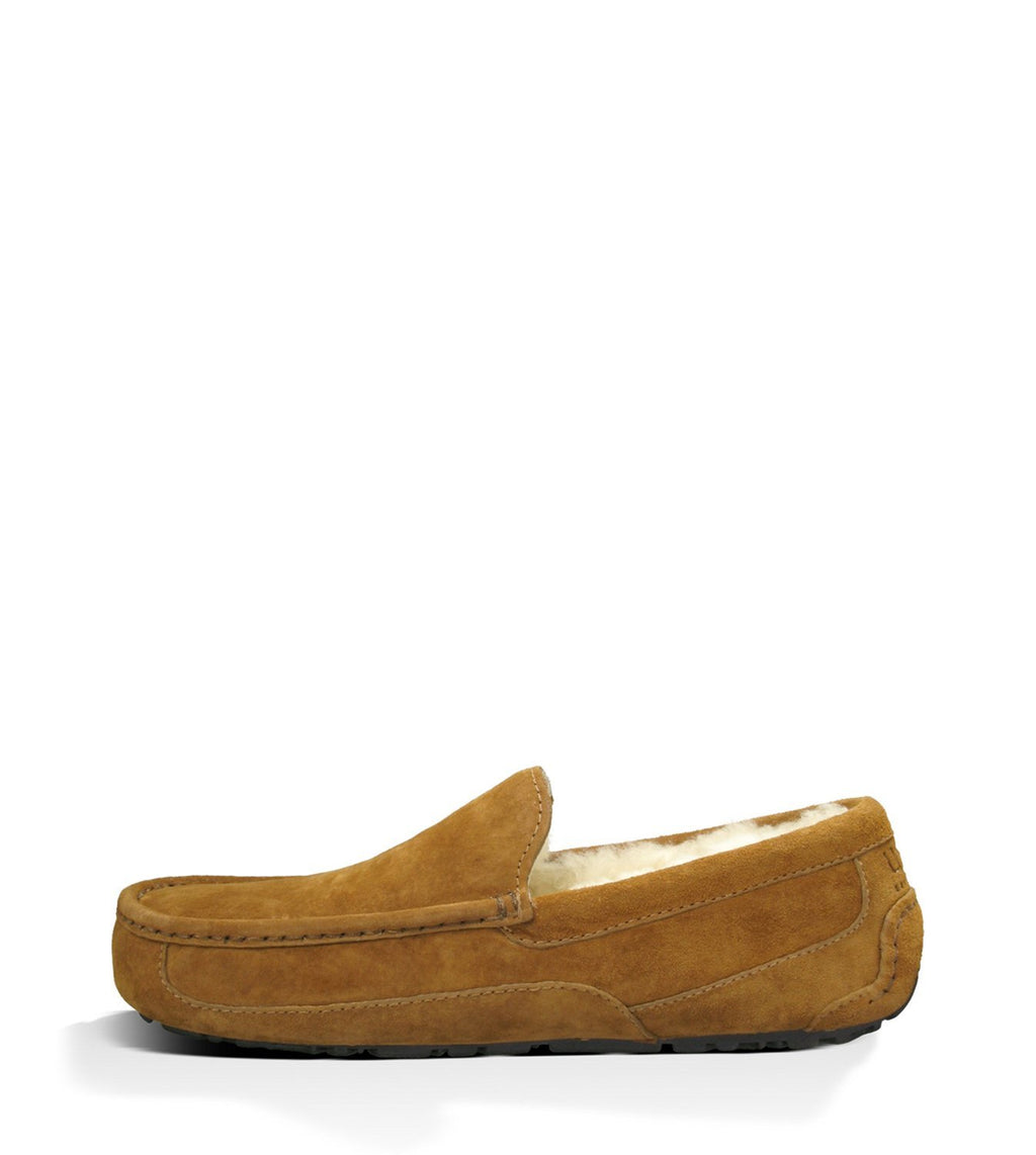 UGG® Men's Ascot Slipper