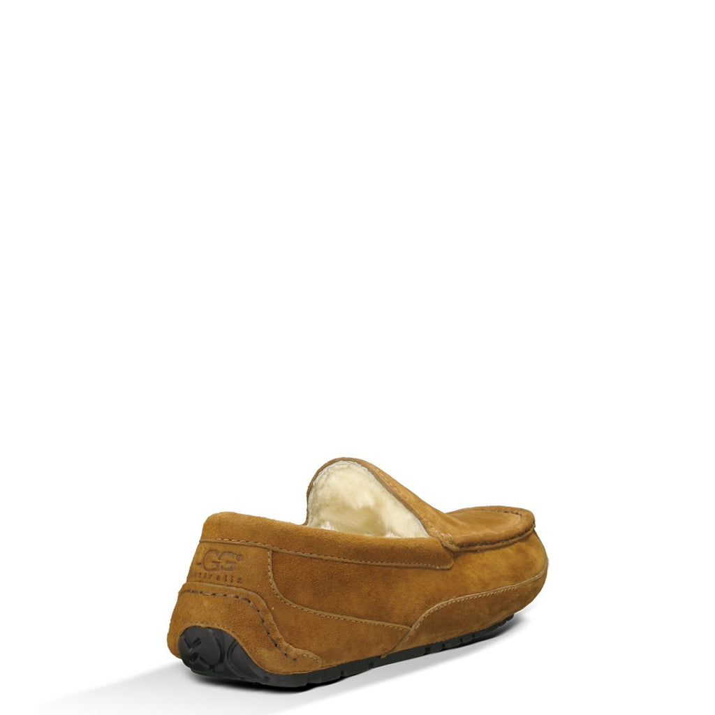 UGG® Men's Ascot Slipper