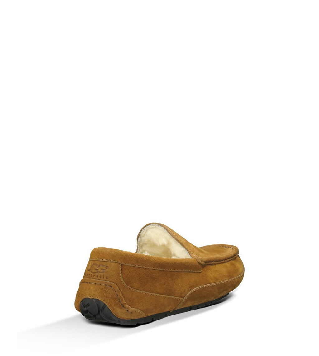 UGG® Men's Ascot Slipper