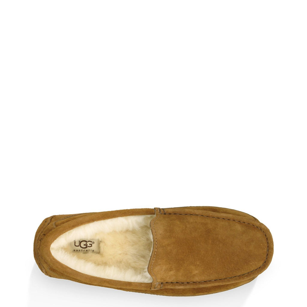 UGG® Men's Ascot Slipper