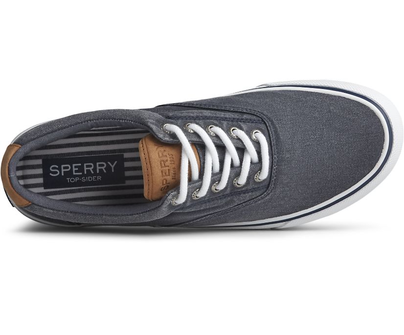 Sperry Men's Striper II CVO Sneaker