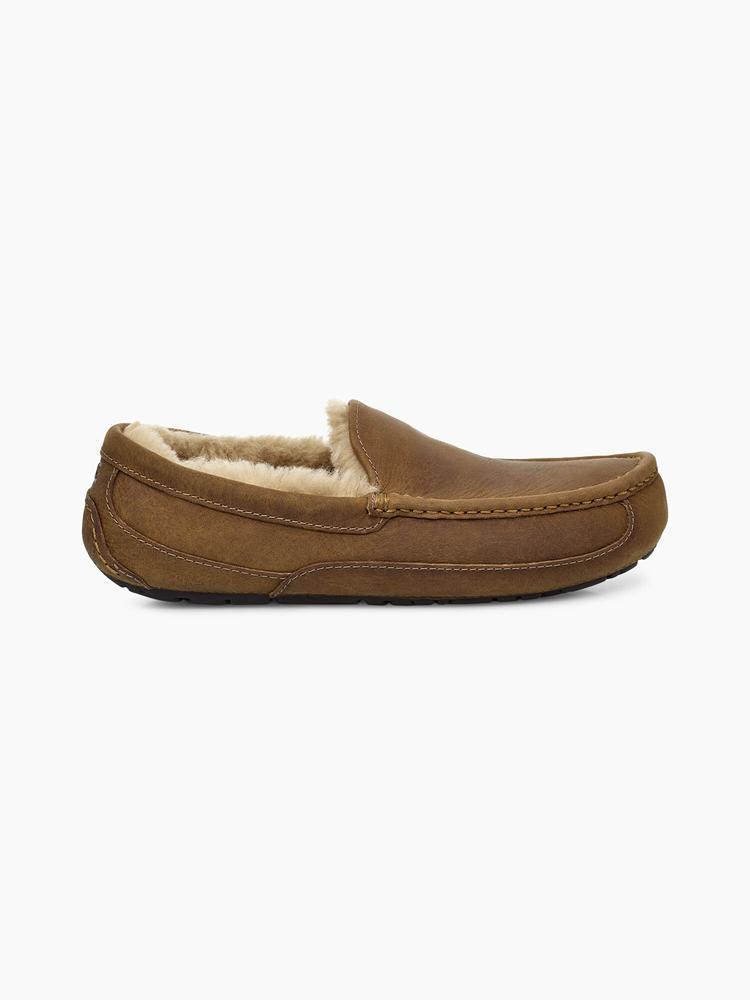 UGG® Men's Ascot Slipper